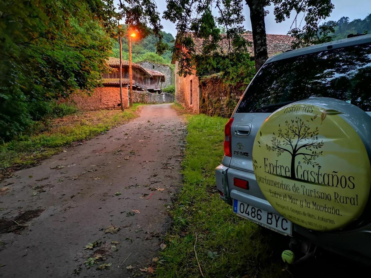 Casas Rurales Entrecastanos Onís Εξωτερικό φωτογραφία