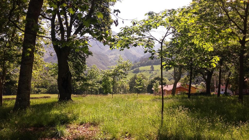 Casas Rurales Entrecastanos Onís Εξωτερικό φωτογραφία