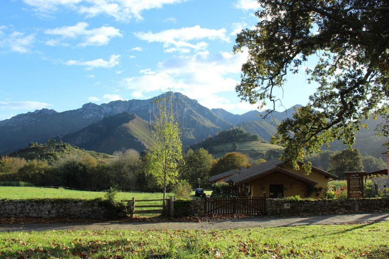 Casas Rurales Entrecastanos Onís Εξωτερικό φωτογραφία