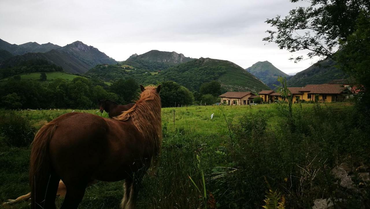 Casas Rurales Entrecastanos Onís Εξωτερικό φωτογραφία