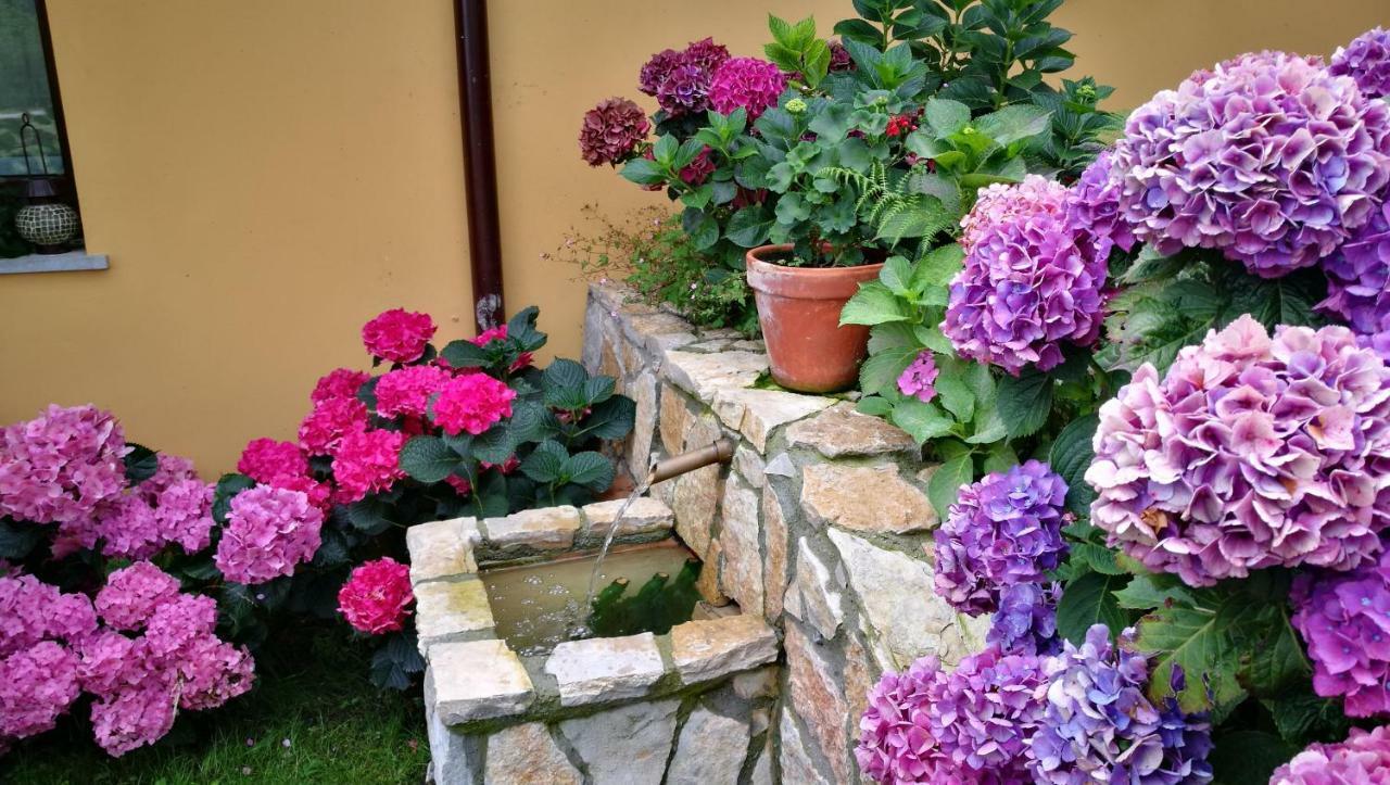 Casas Rurales Entrecastanos Onís Εξωτερικό φωτογραφία