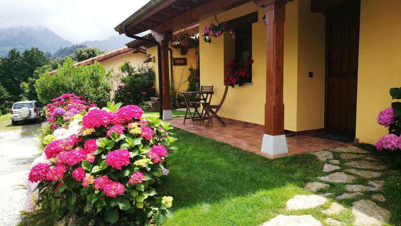 Casas Rurales Entrecastanos Onís Εξωτερικό φωτογραφία